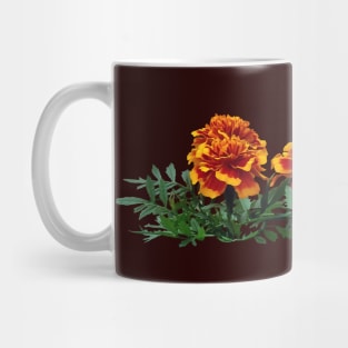 Group of Orange Marigolds With Yellow Tips Mug